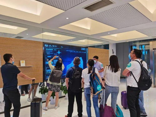 没开窗没空调，空气清新依旧 解密仙瑜科技的人居“神仙体验”